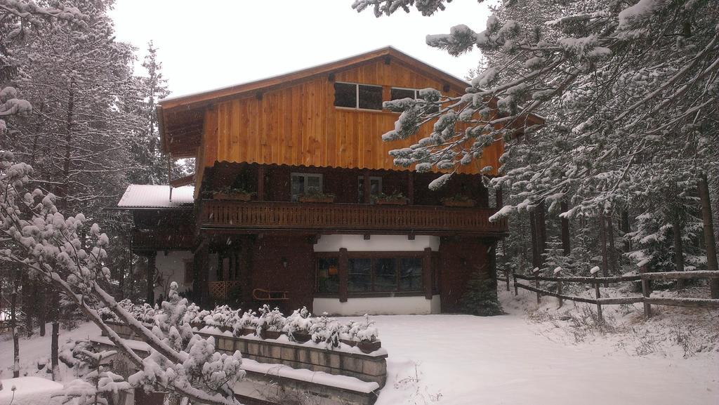 B&B Villa Dolomites Hut San Vigilio Di Marebbe Kültér fotó